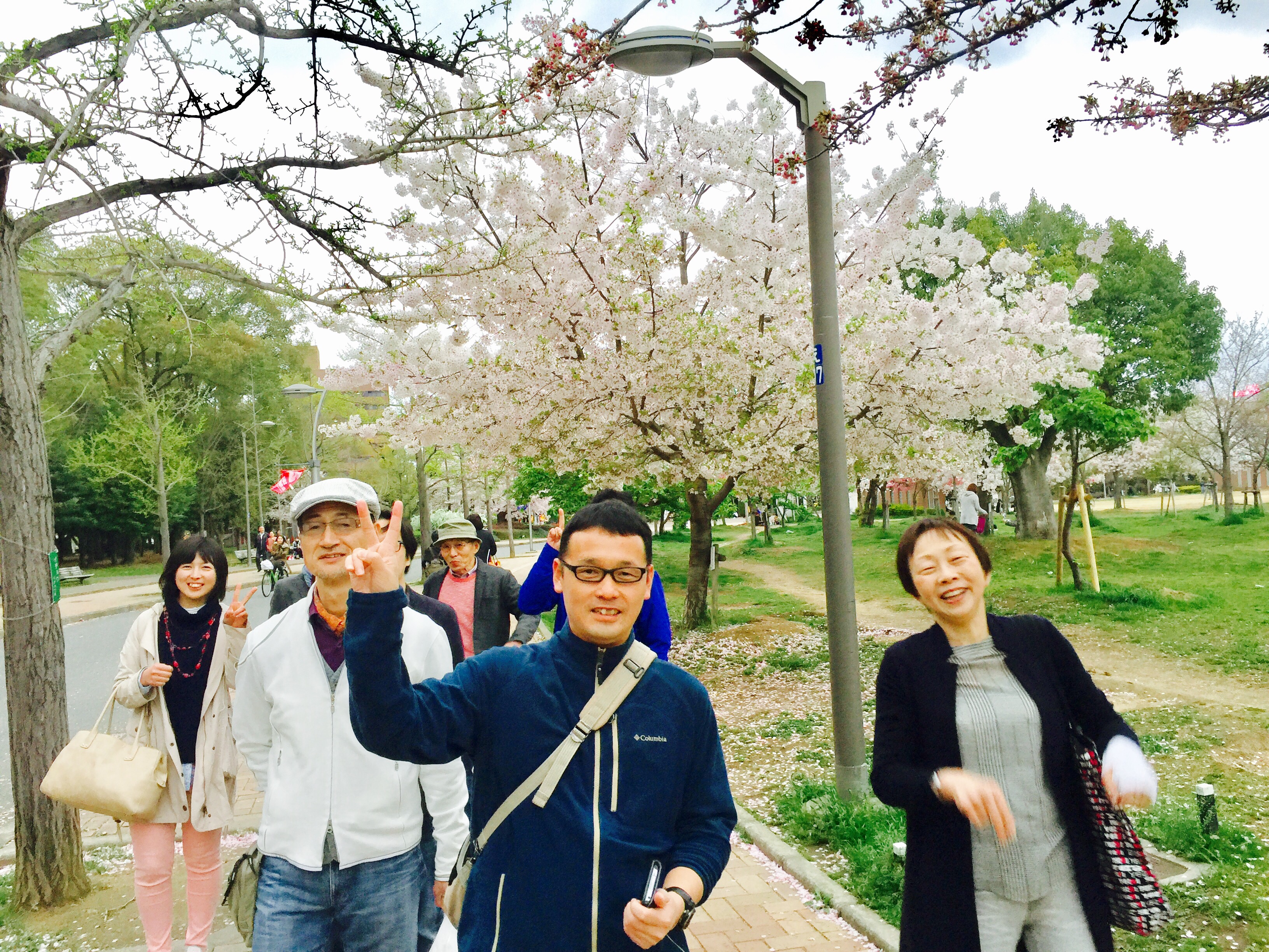 お花見ツアー In 長居公園 テニススクール ノア 大阪天下茶屋校 大阪市西成区