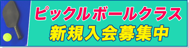 ピックルボールクラス　新規入会募集中